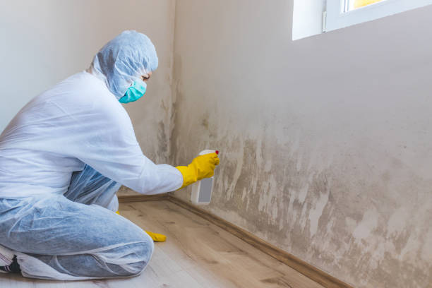 Bathroom Mold Removal assessment in Franklin bathroom